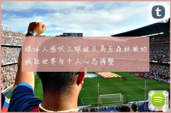 媒体人感叹三球被交易至森林狼的疯狂世界与个人心态调整